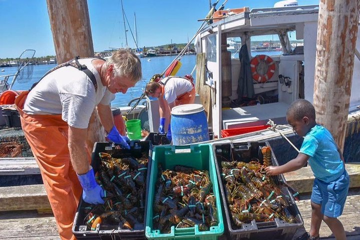 Boston to Kennebunkport with Optional Lobster Tour - Photo 1 of 6